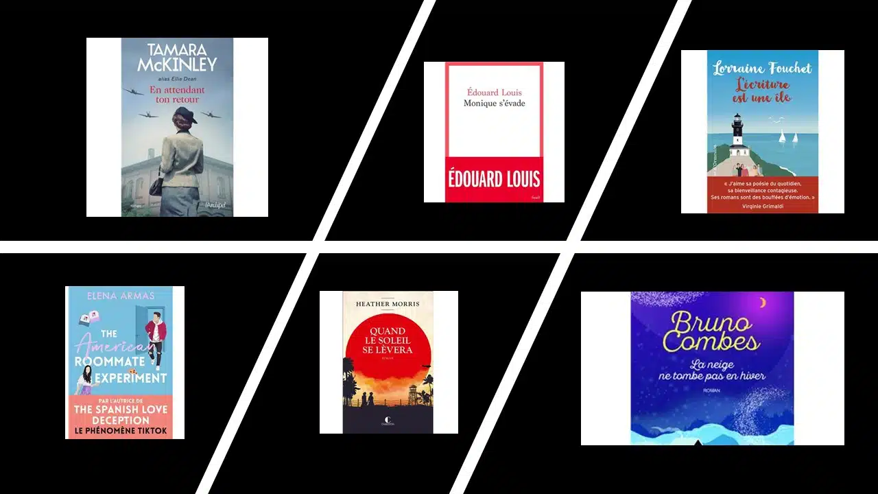 6 Sorties livres du mois d'avril 2024
