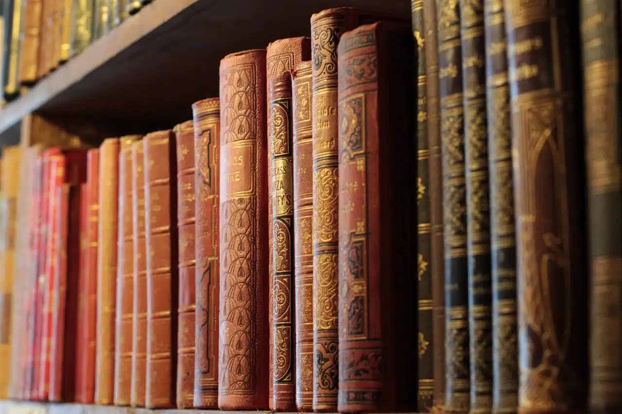 Comment j’ai trouvé mon éditeur en librairie - Irène Delse