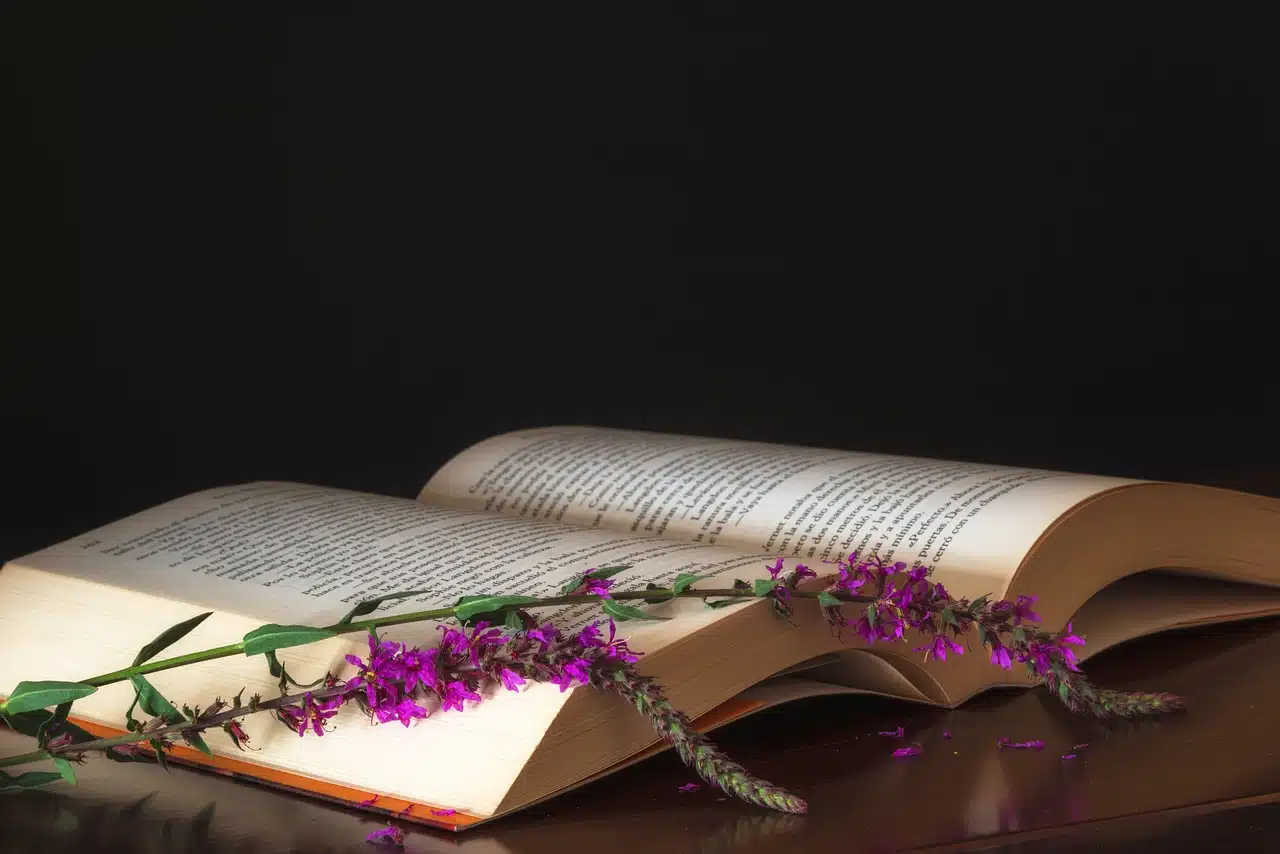Participer à des clubs de lecture : une expérience enrichissante pour tous les lecteurs