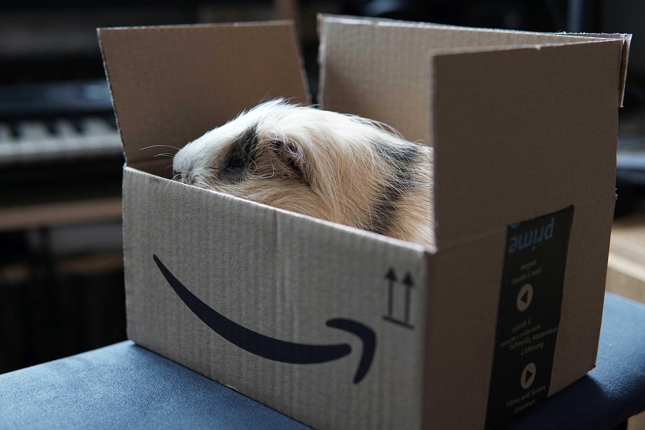 Créer une campagne de marketing réussie sur Amazon : Guide pour les auteurs indépendants